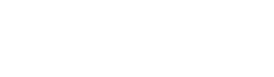 FIS logo