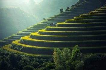 Related Blog Post - 1 - 2019 the year of scale an introduction
