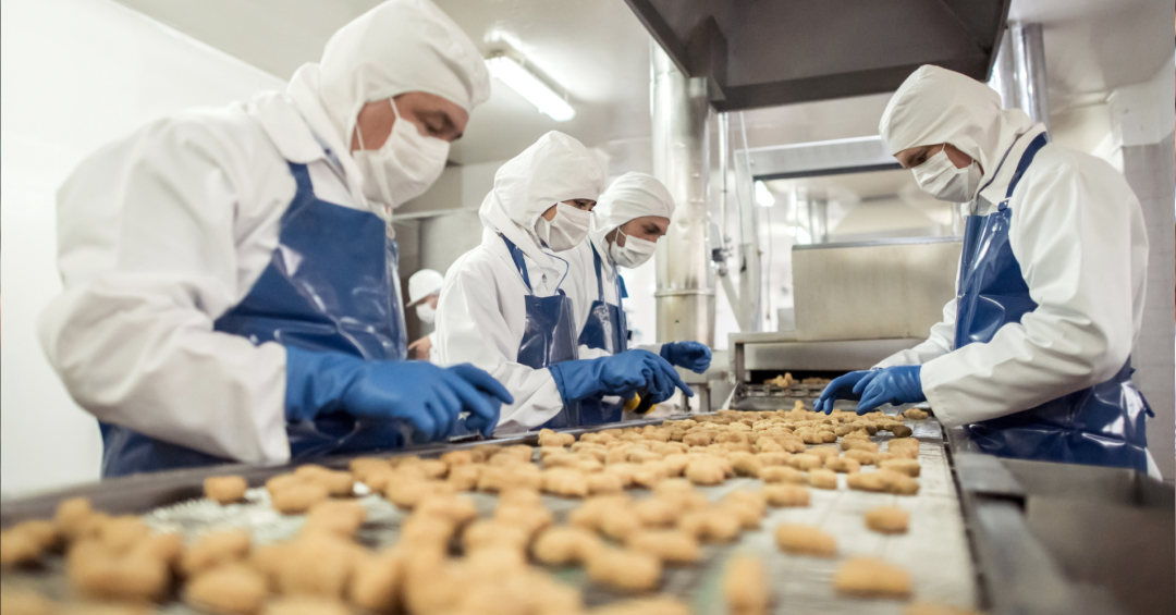 A food manufacturing production line with workers and automated machinery operating alongside each other, representing the balance between human decision-making and automation in modern food production.